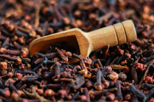 Cloves CG3