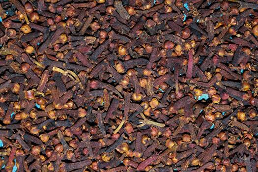 Cloves CG3