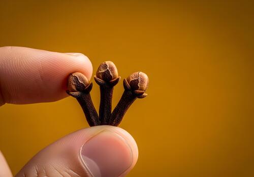 Cloves CG3