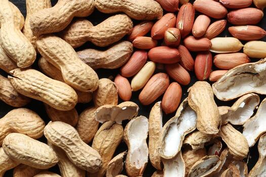 Java or Bold type Peanut Kernels