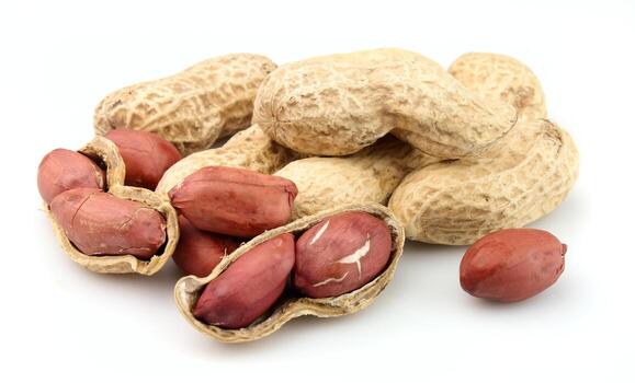 Java or Bold type Peanut Kernels