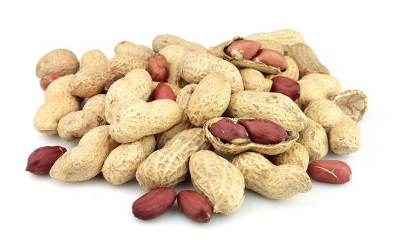 Java or Bold type Peanut Kernels