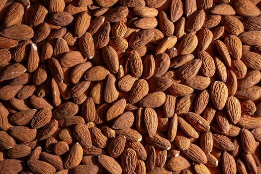 Raw Almond Nuts