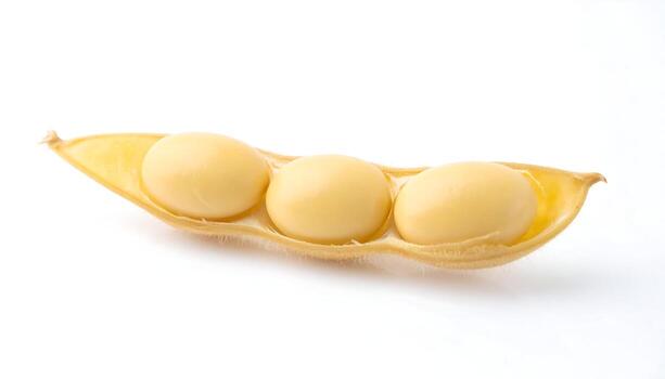 Soya Bean