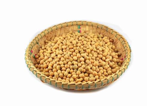 Soya Bean