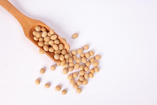 Soya Bean